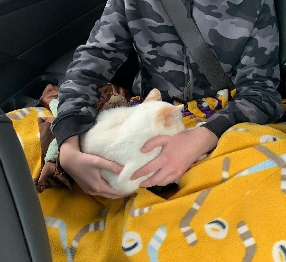 Found his new forever home